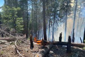 STF Sheering Fire west of Cherry Lake