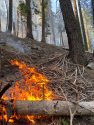 Sheering Fire west of Cherry Lake -- STF photo