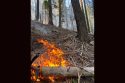 STF Sheering Fire west of Cherry Lake