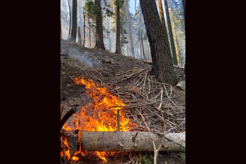STF Sheering Fire west of Cherry Lake