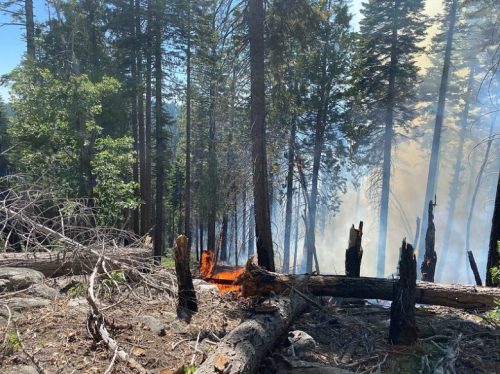 Sheering Fire In Stanislaus National Forest