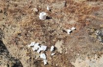 Toilet paper and roll left in the wilderness area of Yosemite National Park -- STF photo