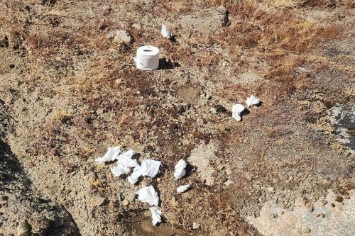 Toilet paper and roll left in the wilderness area of Yosemite National Park -- STF photo