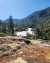 Toilet paper and roll left in the wilderness area of Yosemite National Park -- STF photo