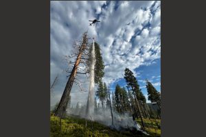 Yosemite National Park lightning fires