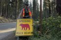 Yosemite speeding kills bears in the park sign