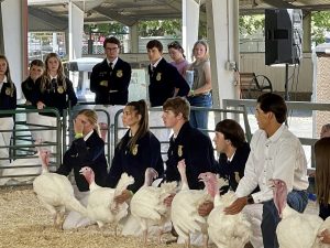 Mother Lode Fair Junior Livestock Auction
