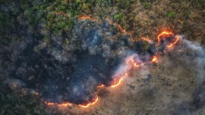 USC Scientists Use AI To Predict Wildfire Spread