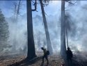 Fire crew In Yosemite -- taken by R.Mitchell