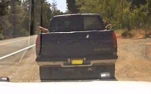 ACSO traffic stop ends in murder arrest
