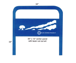 Planned Blue Zones Bike Rack