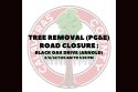 CCPW tree removal in Arnold