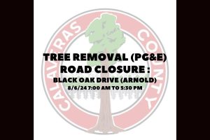 CCPW tree removal in Arnold