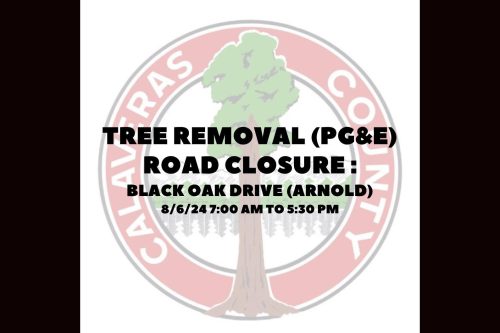 CCPW tree removal in Arnold