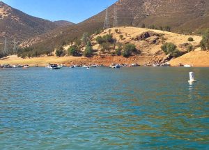 Labor Day in the Mother Lode 2018 TCSO image
