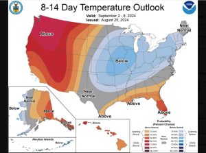 NWS Projections