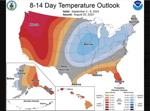 NWS Projections