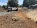 SUV rollover crash into a tree in Calaveras County -- CCF photo