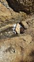 Toilet paper and feces left under on the forest -- STF photo