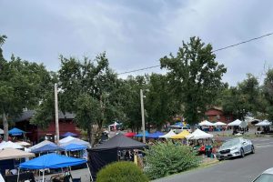 Acorn Festival photo by event organizers 2023