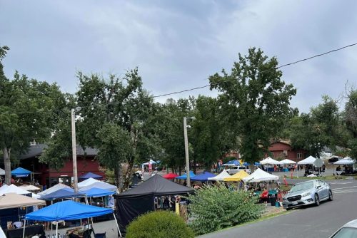 Acorn Festival photo by event organizers 2023