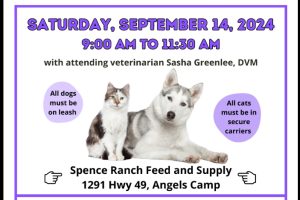 CCAC Rabies free flyer for September