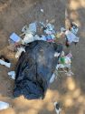 CCSO Illegal dumping in West Point