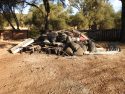 CCSO illegal pot grow bust