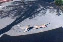 Cougar chasing a deer caught on security cameras in the Tuttletown area of Tuolumne County