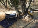 Illegal marijuana grow in Copperopolis