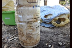 Illegal marijuana grow in Copperopolis with a banned and toxic insecticide being used