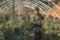 MCSO one of 8 illegal pot grow bust