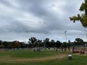 Soccer at Standard Park