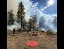 Burning at Calaveras Big Trees