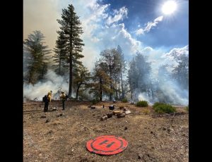 Burning at Calaveras Big Trees
