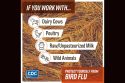CCPH Protect Yourself From Bird Flu graphic
