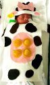 Doctors Medical Center Modesto NICU Preemie Halloween Costume Cow Wow