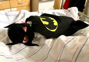 Doctors Medical Center Modesto NICU Preemie Halloween Costume I Am Batman