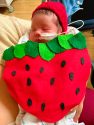 Doctors Medical Center Modesto NICU Preemie Halloween Costume Strawberry Fields Forever
