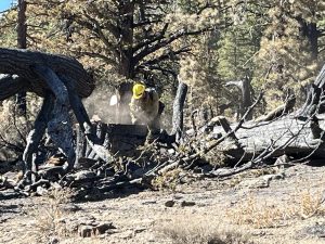 Peak Fire repairs - Forest Service Image