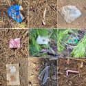 Micro-trash found at campsite in STF