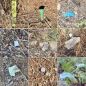 Micro-trash found at campsite in STF