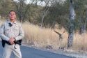 Great Horned Owl Toby released by CHP officer that saved its life