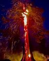 Peak Fire burning near Herring Creek Reservoir in the Stanislaus National Forest -- TCFD photo