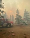 Peak Fire burning near Herring Creek Reservoir in the Stanislaus National Forest -- TCFD photo
