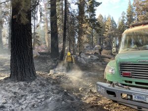 Peak Fire in Stanislaus National Forest