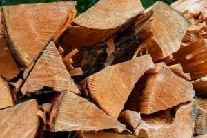 STF firewood permits go on sale