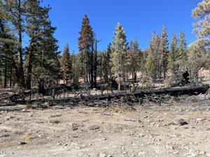 Peak Fire Near Full Containment In Stanislaus National Forest