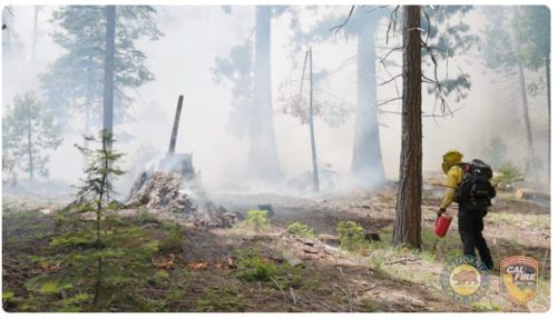 Burning Planned at Calaveras Big Trees State Park