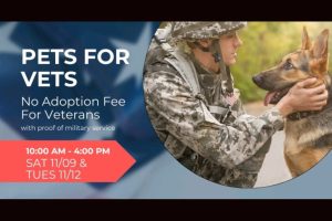 CCAS free adoption days for veterans flyer